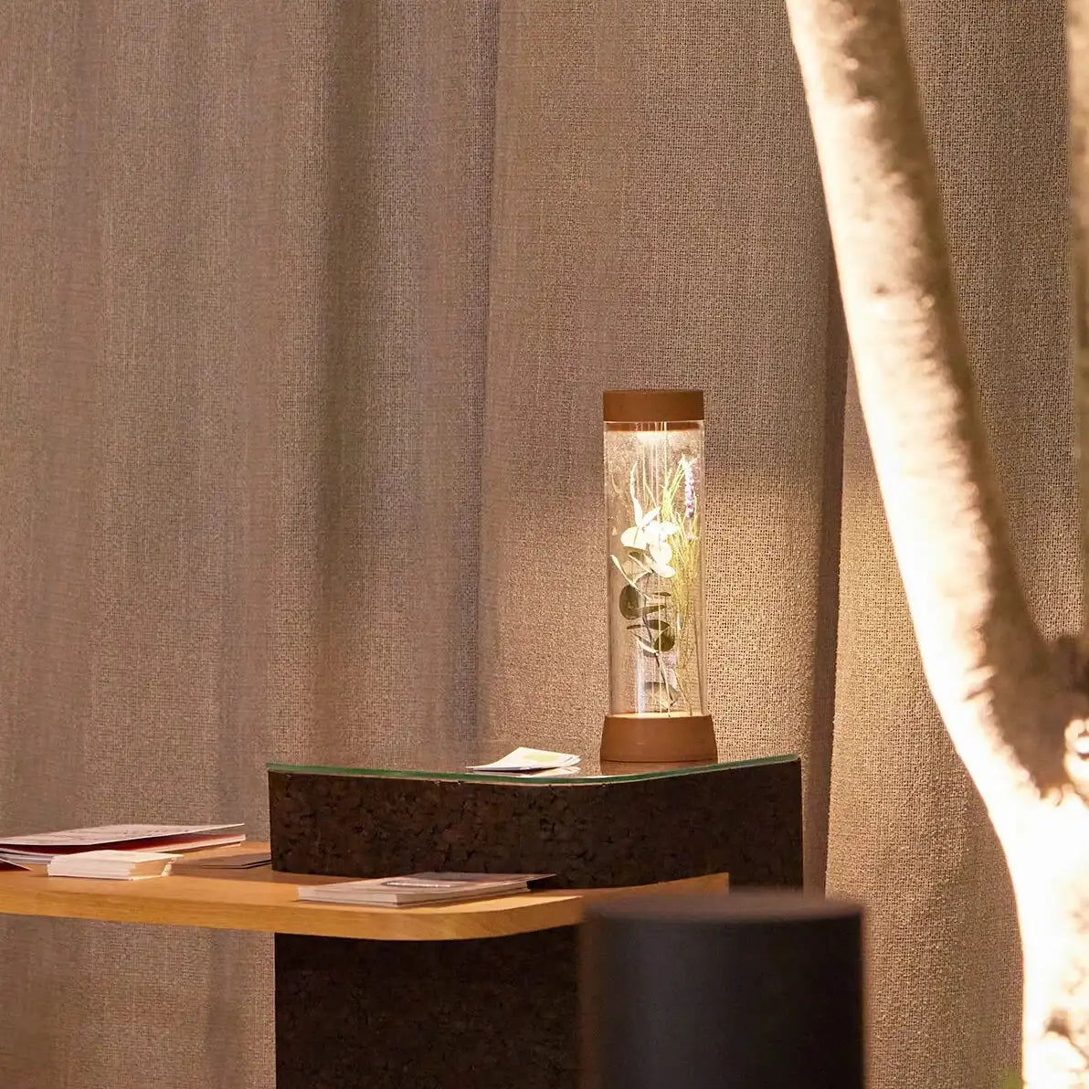 Lámpara de mesa recargable EOS, iluminación LED sostenible - Kaimok Design