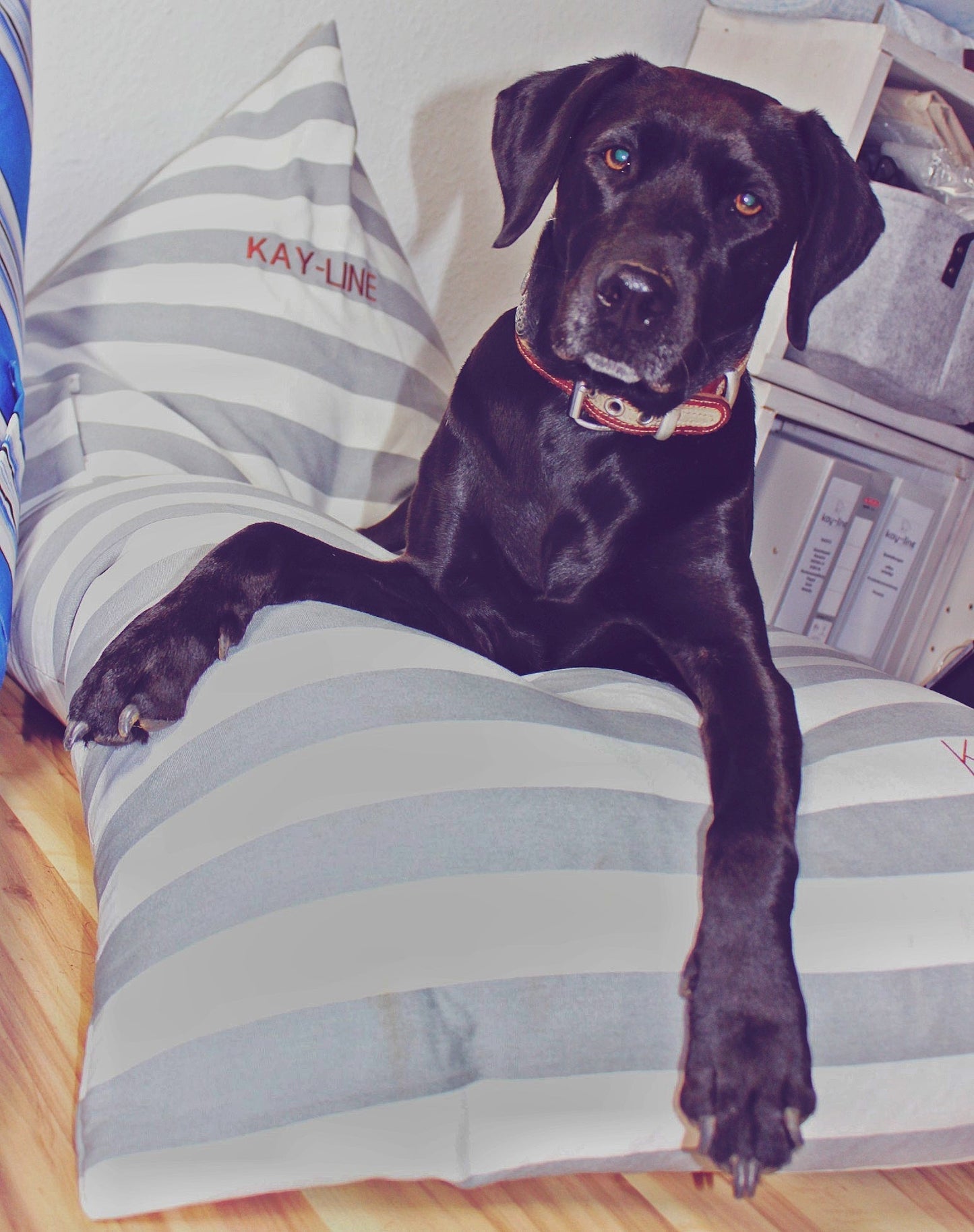 Puff exterior - Nuvola Chill Out - puf para perros - Kaimok Design