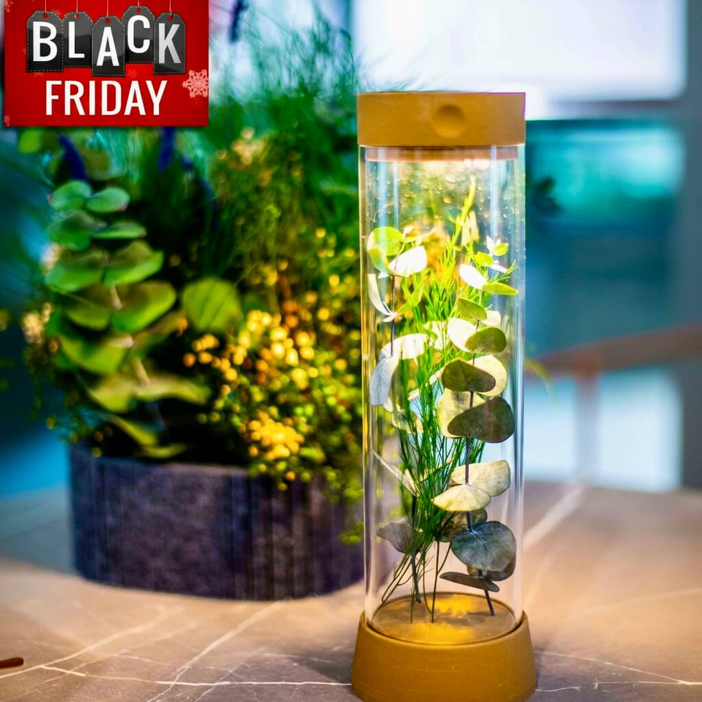 lampara recargable de mesa EOS - lampara portatil, oferta Black Friday, Kaimok Design